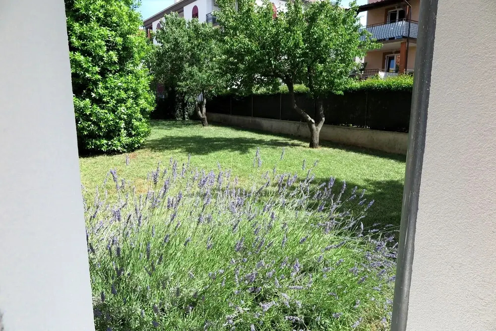 Apartments Vanda