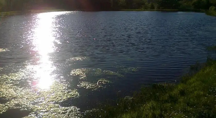 Cashel Lake View