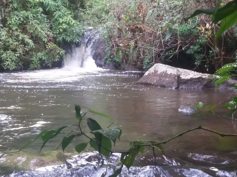 Cascada Cafe Retiro