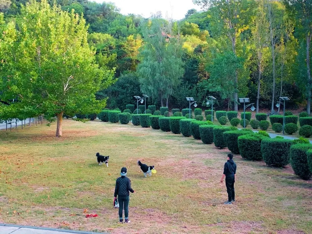 InNature.hanyang