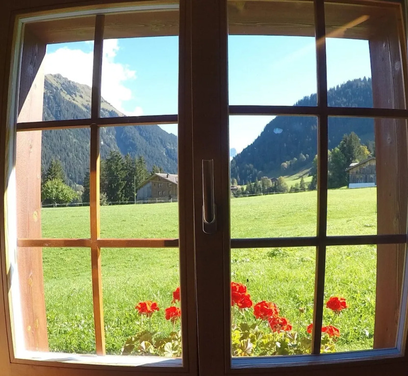 Alpenchalet Weidhaus Gstaad - diverse Wohneinheiten