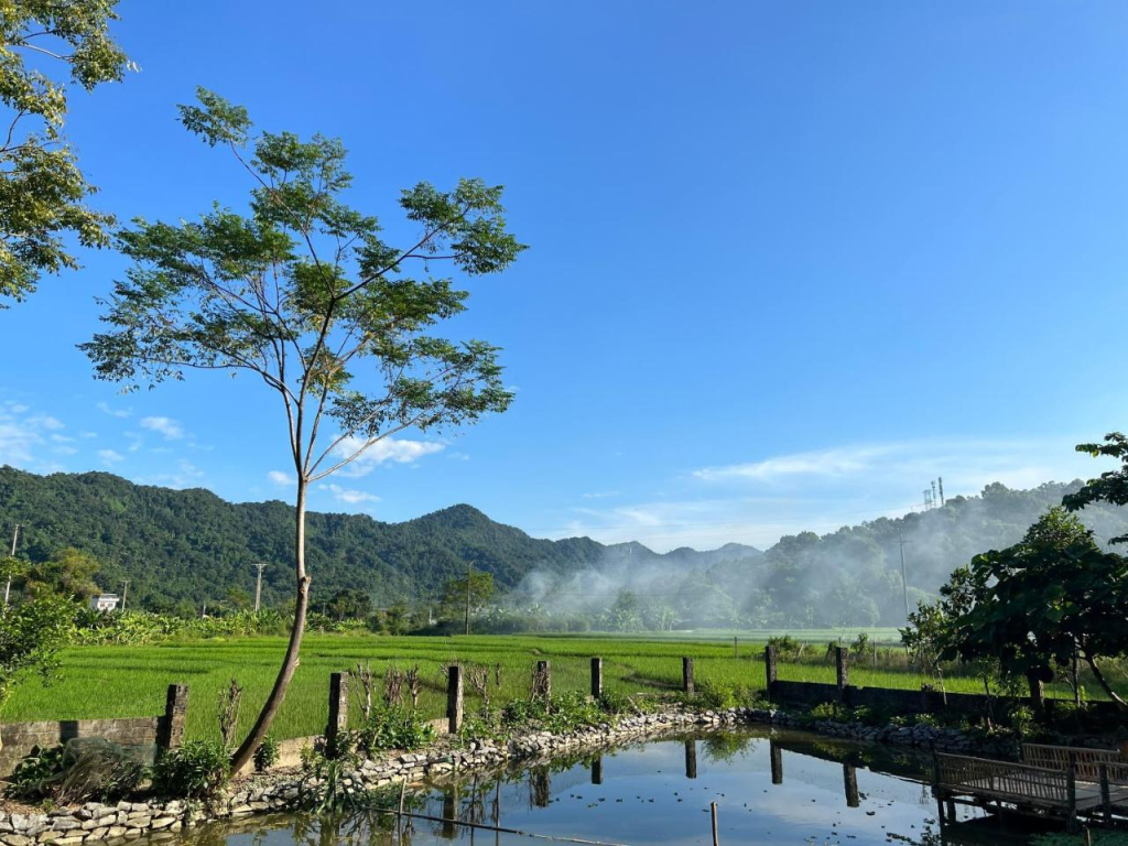 QT Guest House