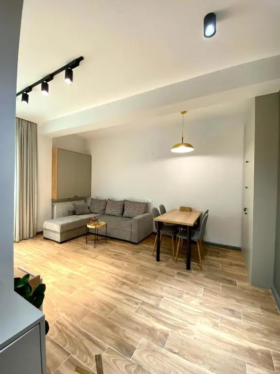 Snow Forest Bakuriani Apartment 10