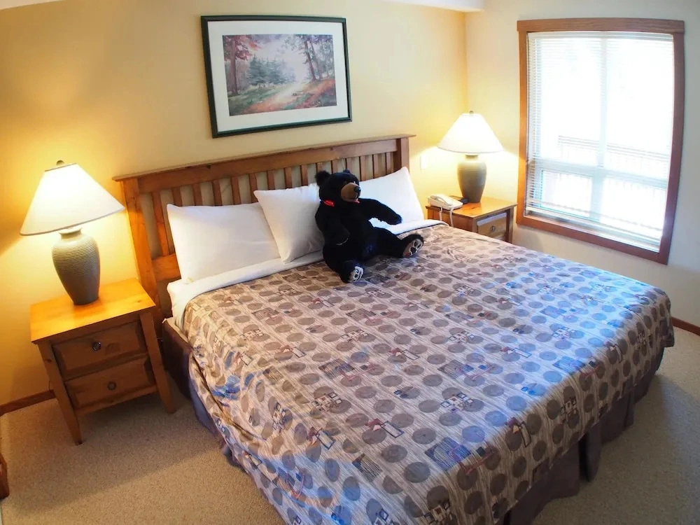 Fireside Lodge #420 By Bear Country