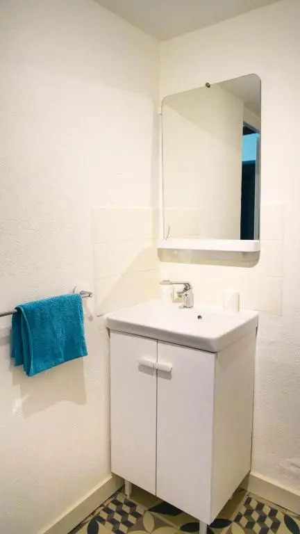 Le Tourangeau - Grand studio cosy en hypercentre