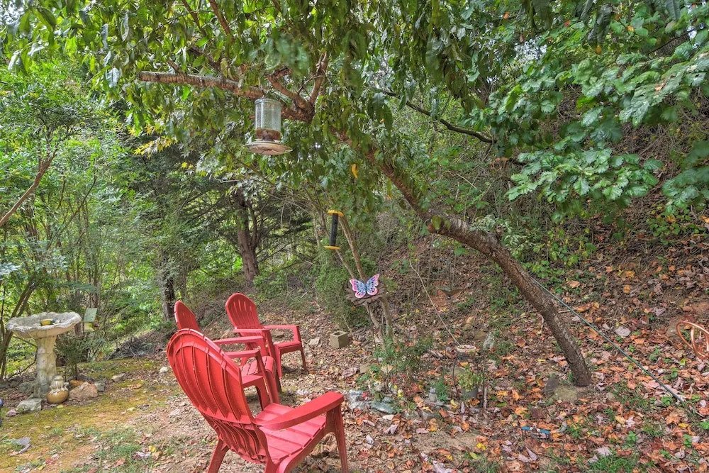 'frog Leap' Hiawassee Cabin w/ Blue Ridge Mtn View