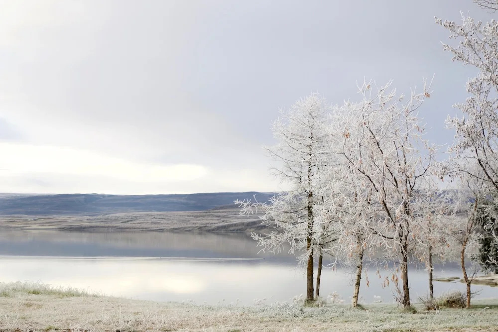Hótel Egilsstadir