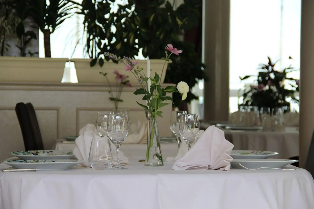 Brit Hotel le Cygne