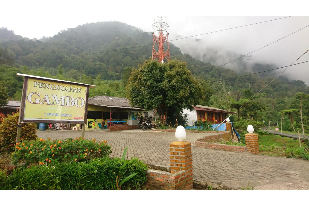 Penginapan Gambo
