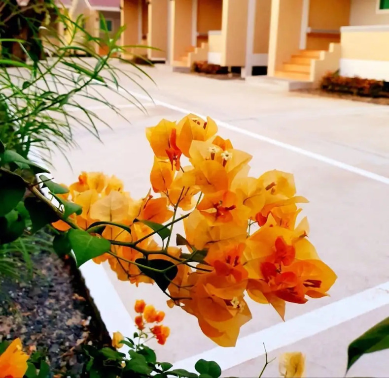 Baan Suan Wassana