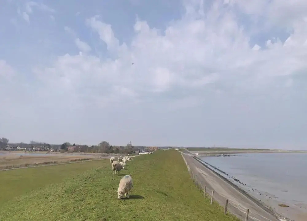 Detached House With Dishwasher Near the Sea