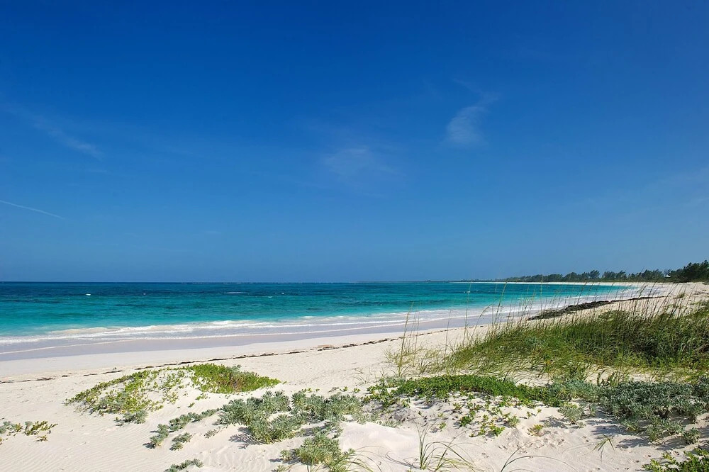 Plage Rose Estate