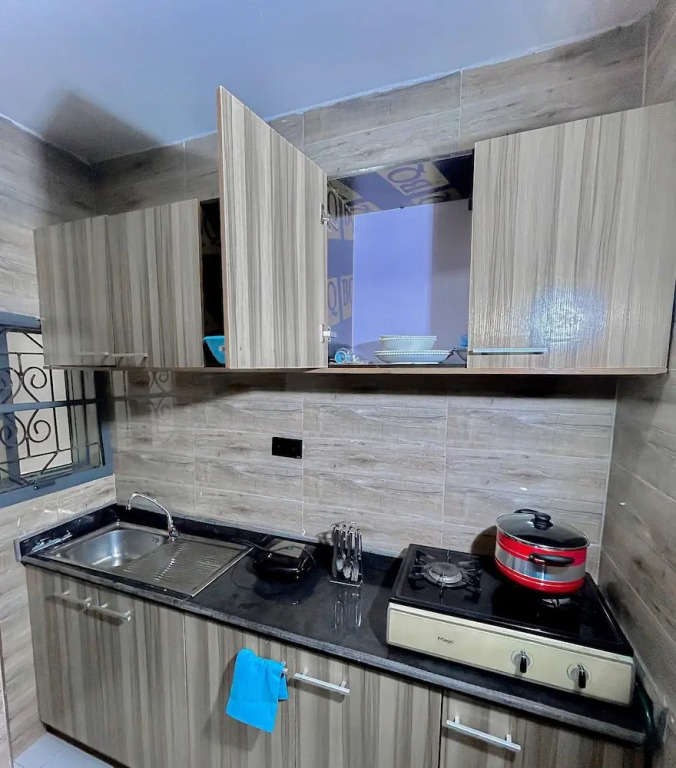 Satellite Apartment