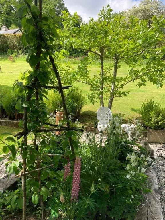 Hill View B&B