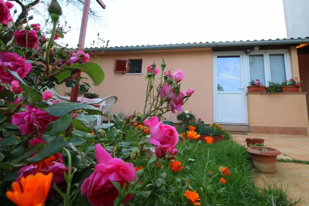 Apartment Matej