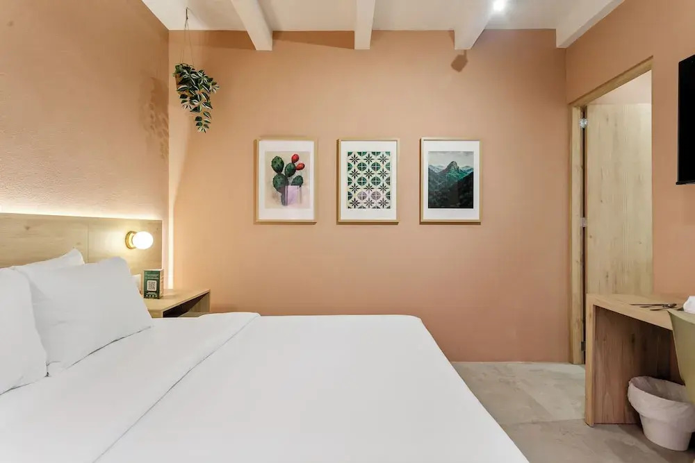 Damián Carmona By Homi Rent