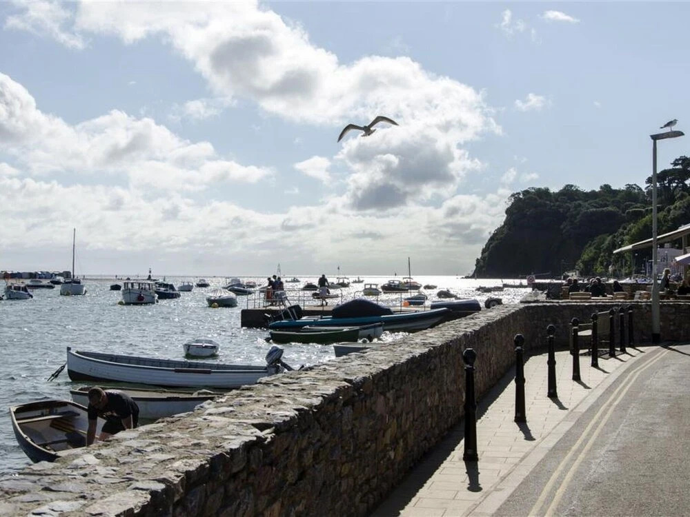 Frannie Shaldon in Shaldon