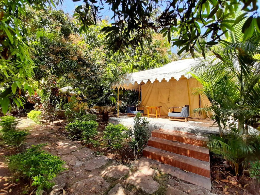 Gir County Resort