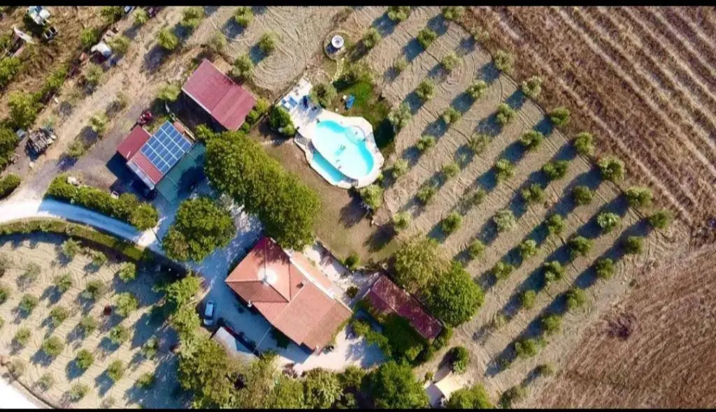 Agriturismo La Locandiera