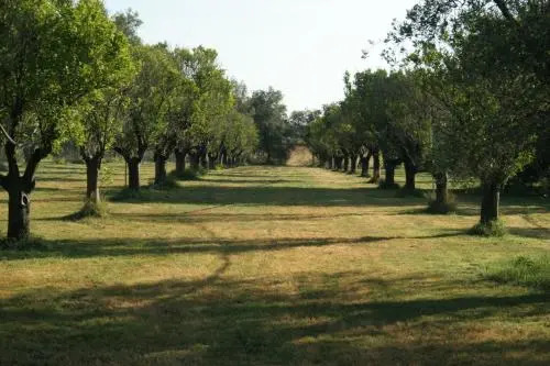 Casapanetta