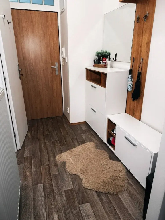 Bright and Cozy 40 m² Apartment at Prague 7