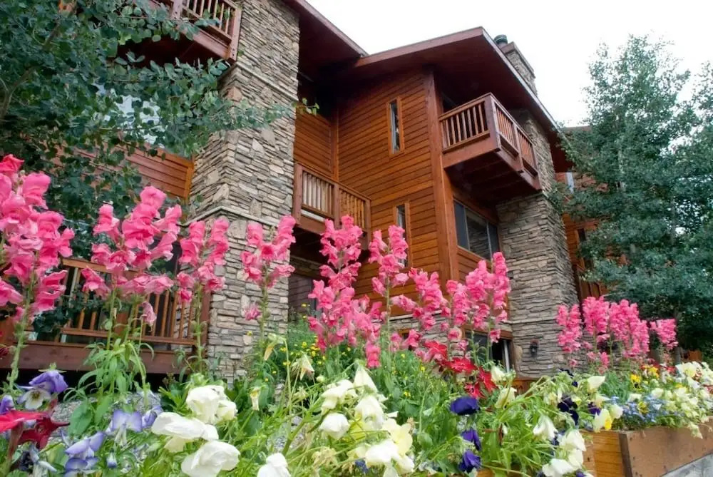 Pine Ridge Condos