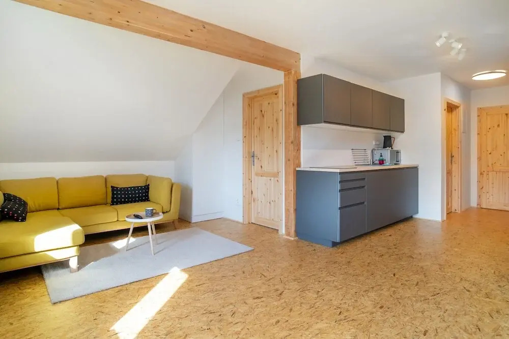 Villa in Desná near Ski Resorts