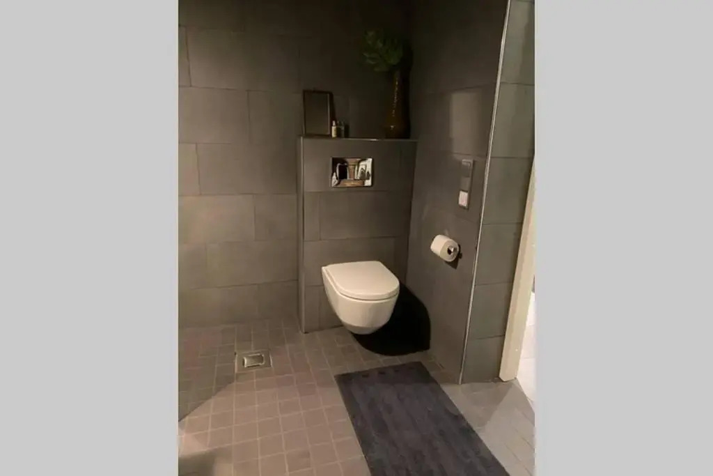 Luxury Apartment in the center