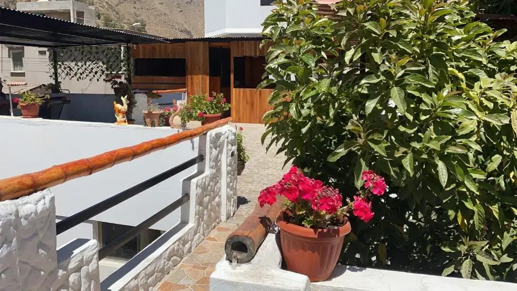 Paraiso Palmeras - Cabanaconde