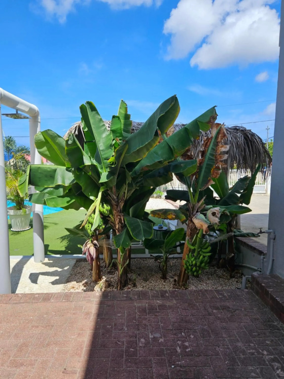 Villa Raven`s Paradise