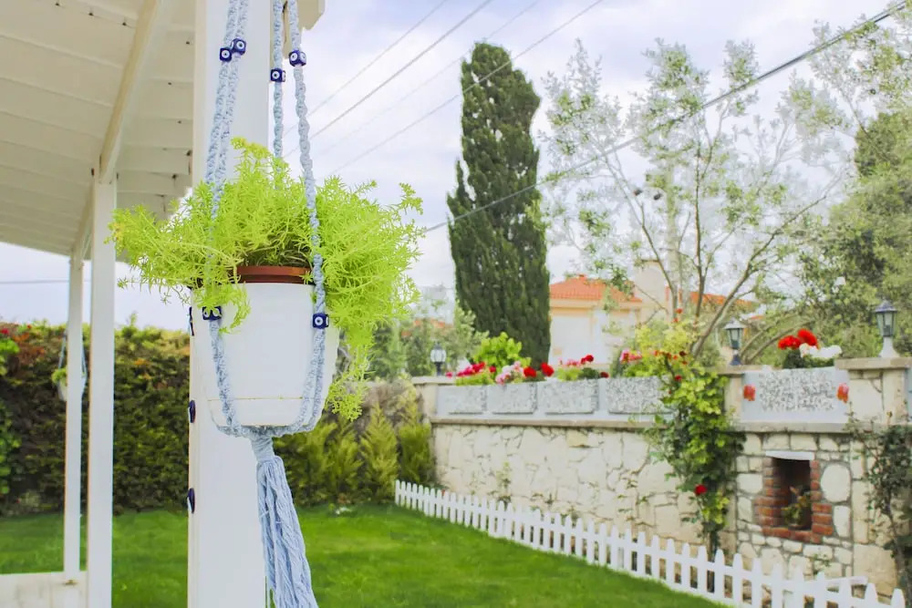 Odabaşı Su Alaçatı