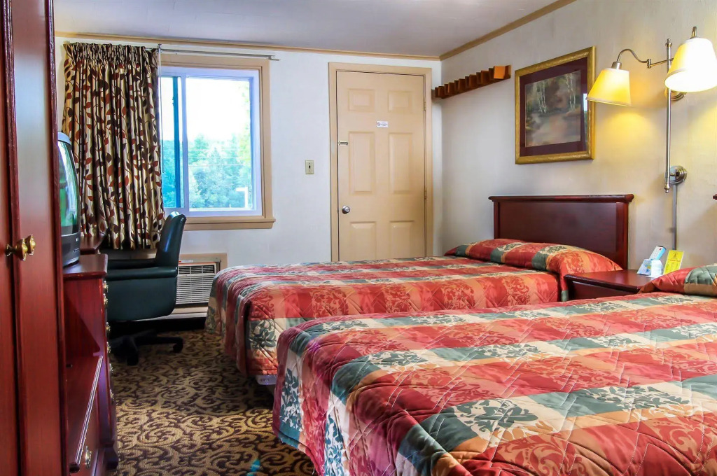 Happy Bear Motel