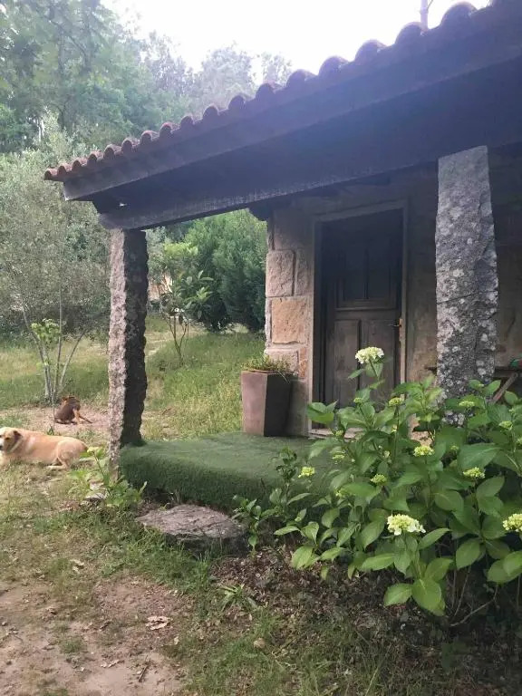 Forest House casinha do Carvalhal