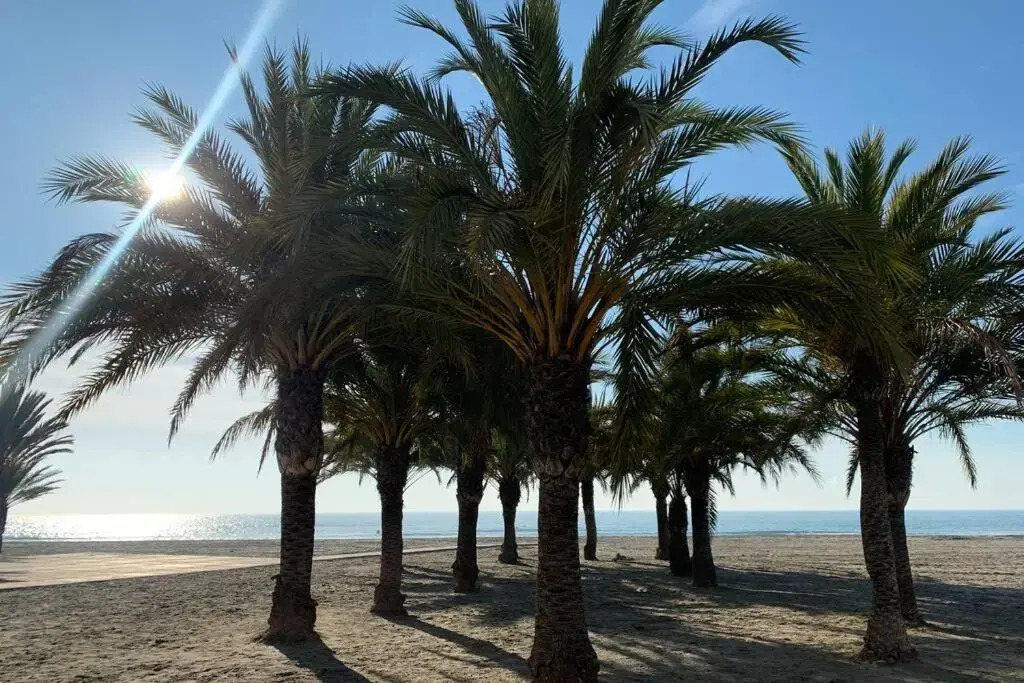 Alicante(Santa Pola), Bord de plage, 3 chambres