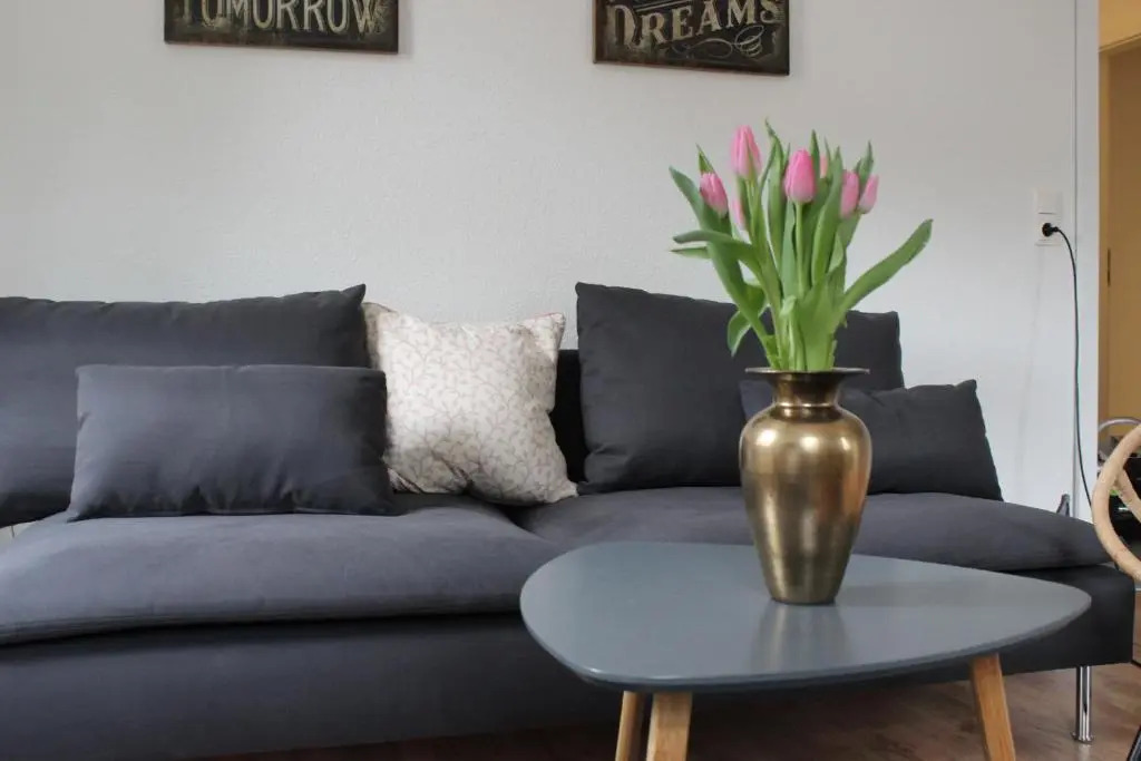 Apartment Steinbruch