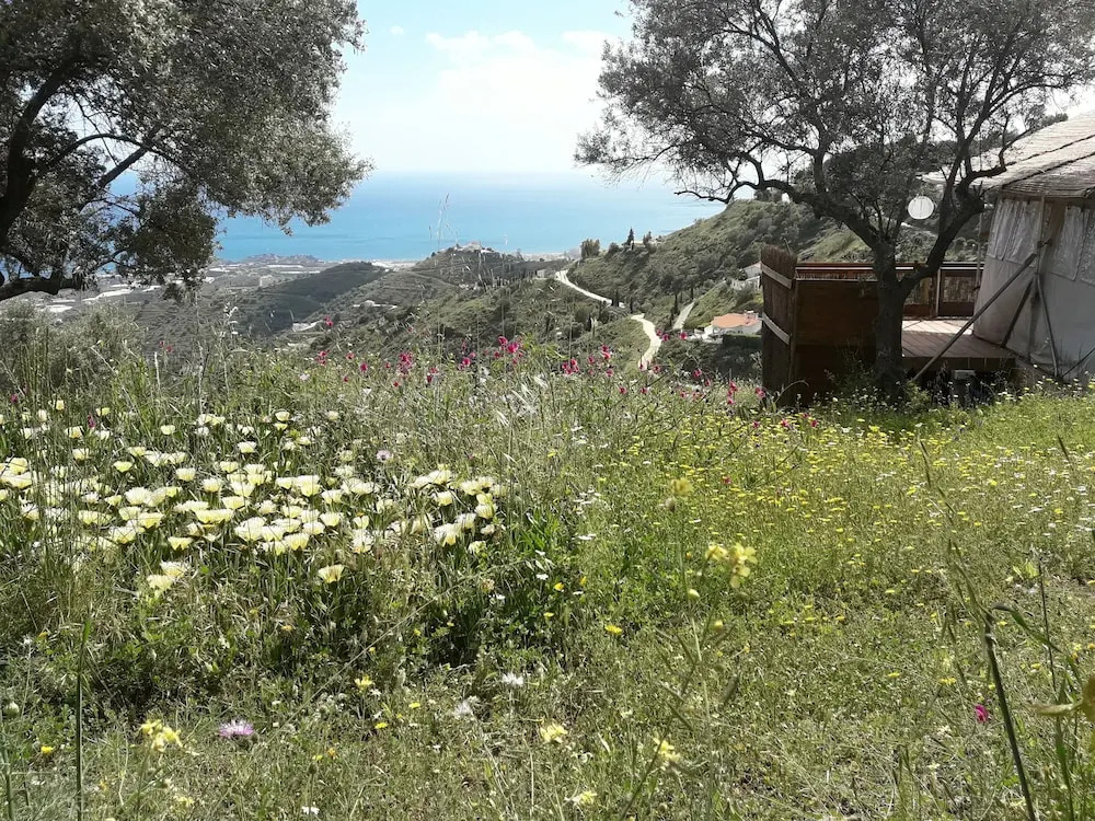 Campo Agave - Boutique B&B en Glamping