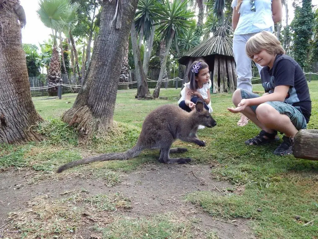 Hotel Selwo Lodge - Animal Park Tickets Included