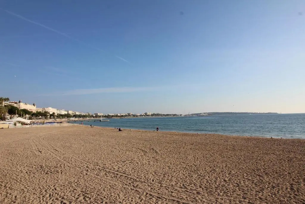 Cannes Conseil Immo - Appartement moderne à 250 m du Palais des festivals et des Plages