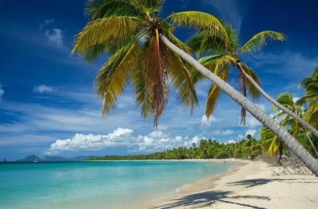 Résidence Plage Des Salines
