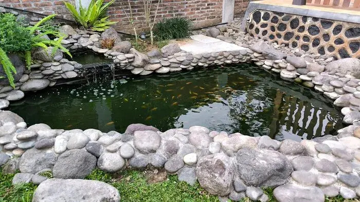 Harmony Homestay