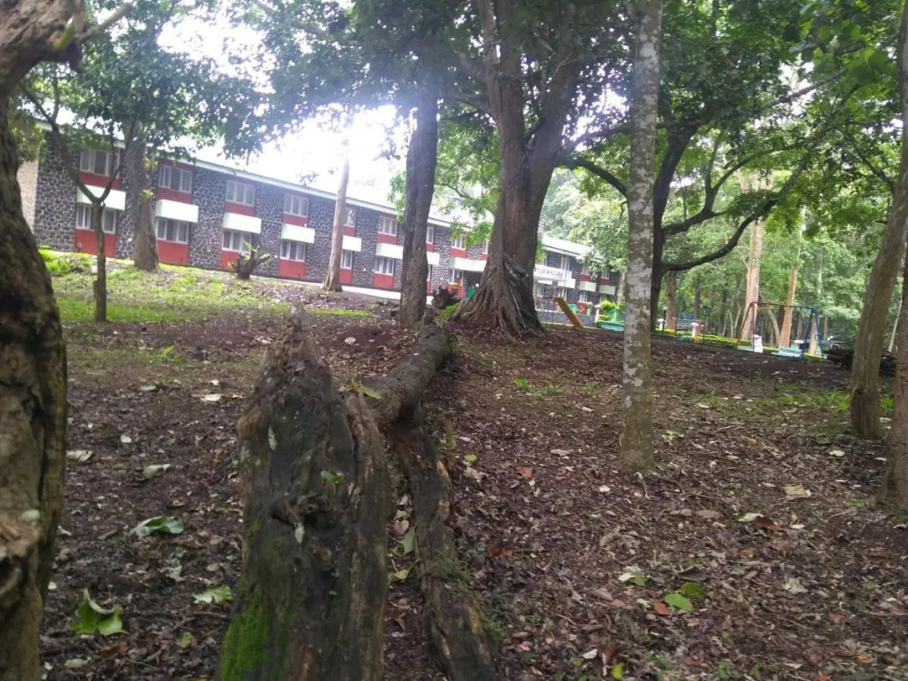 KTDC Periyar House Thekkady