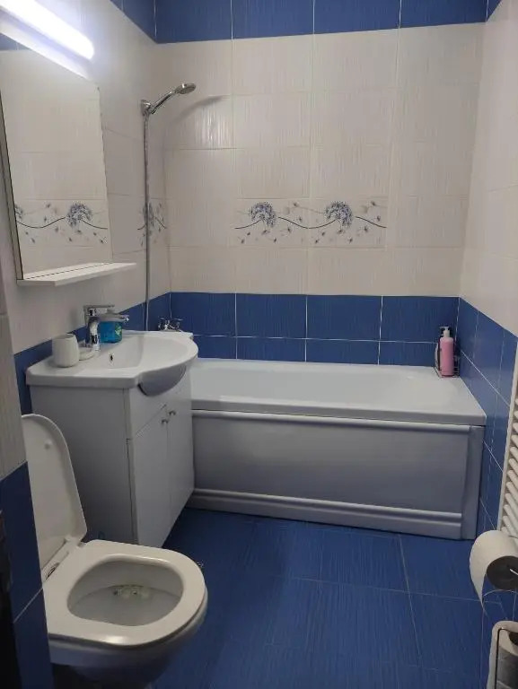 Apartament Camelia