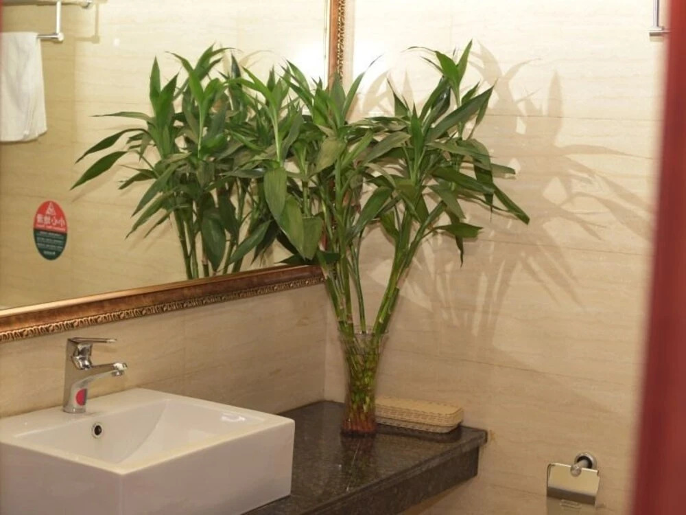 GreenTree Inn Hefei South Tongcheng  Road Business Hotel