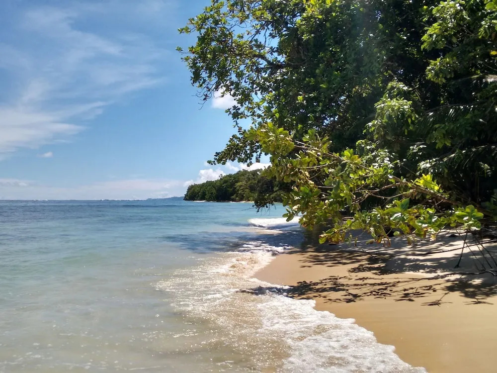 Paradise Waits