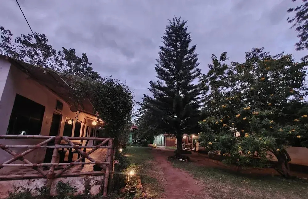 The Big Cats Den - Maravakandy Resort, Masinagudi