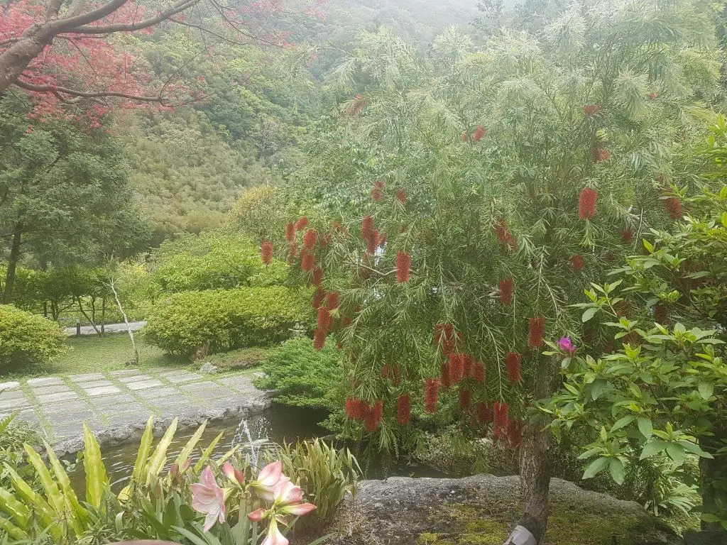 福緣山莊 桃園市民宿004號
