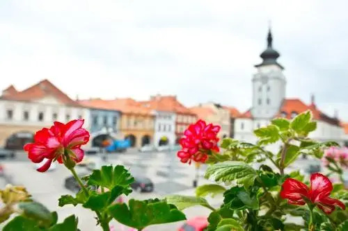 Hotel U Hada Žatec