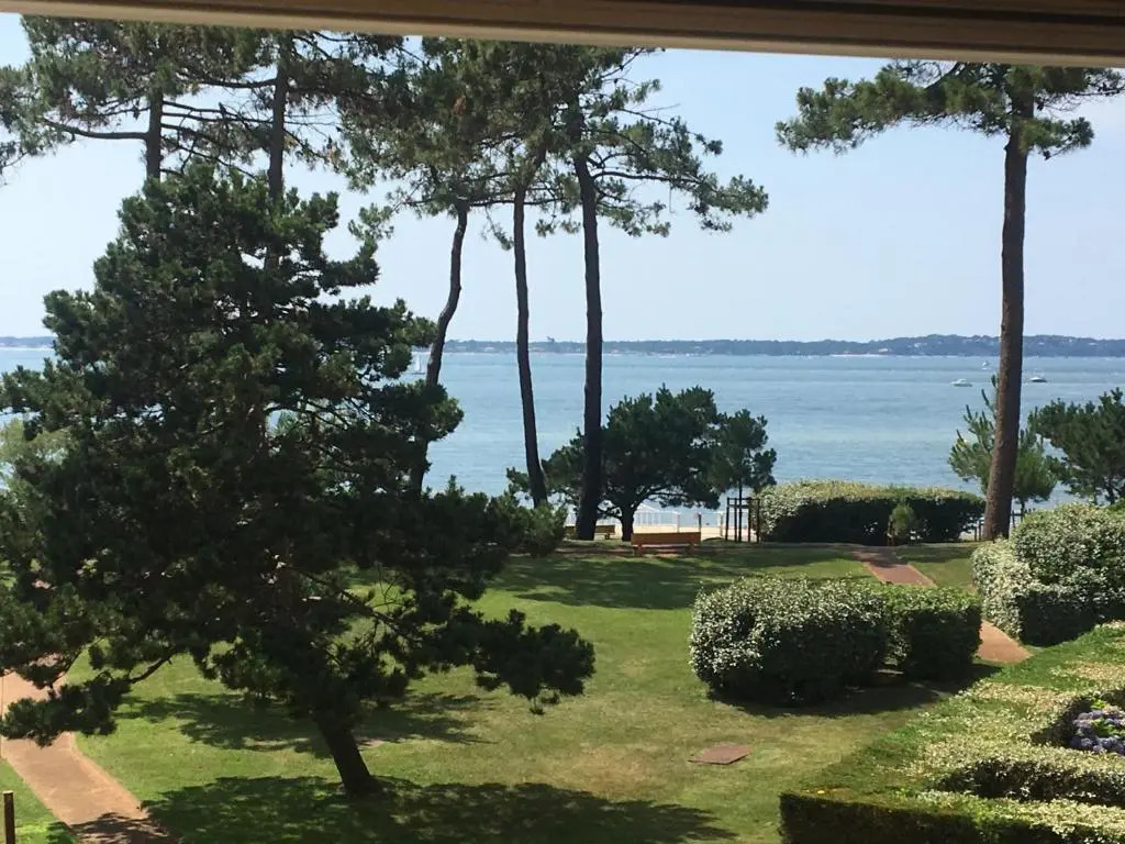 Appartement Arcachon, 2 pièces, 6 personnes - FR-1-374-159