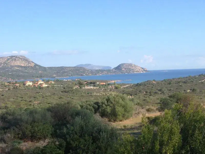 Bilo Il Poggio
