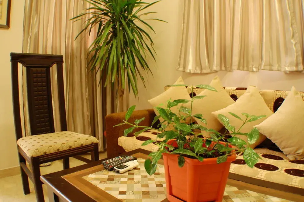 Avrio Red Sea Apartments